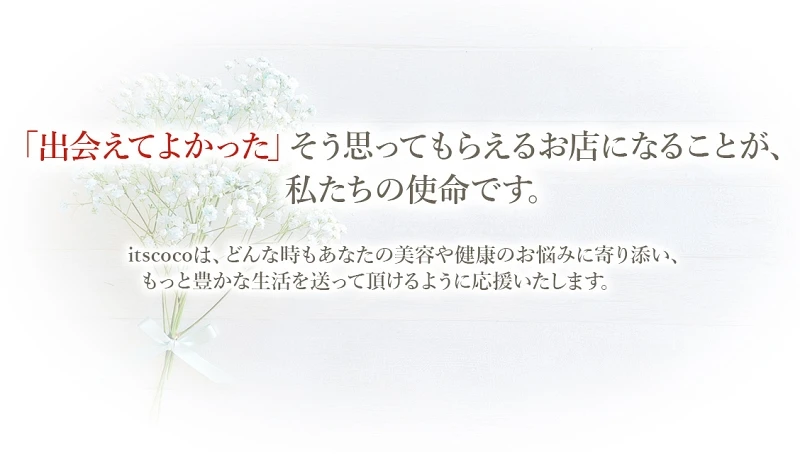 itscoco サイトイメージ